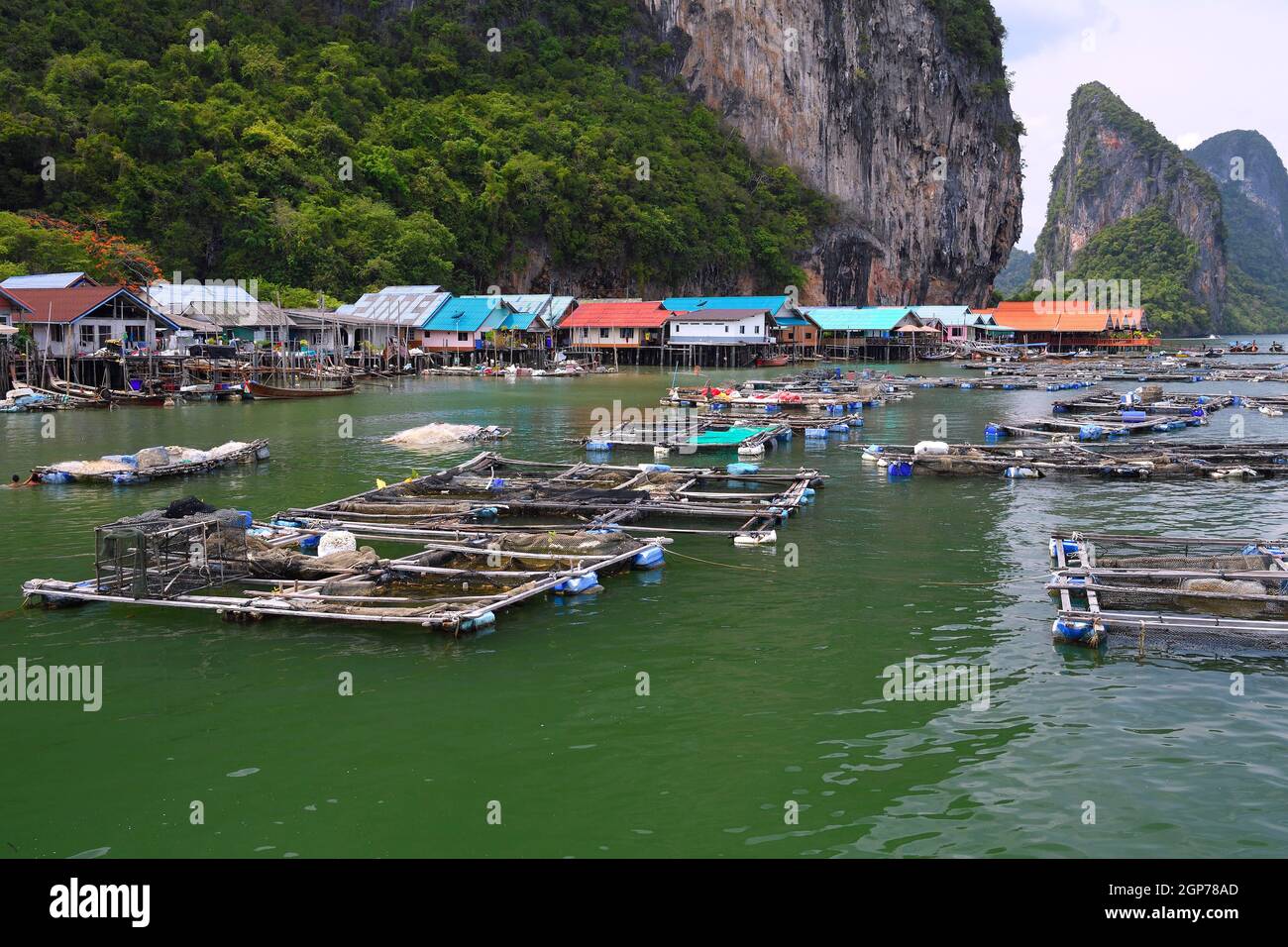 Käfigstellen für lebende Fische, muslimische Stelzendörfer Koh Panyi, Koh Panyee, Bucht von Phang Nga, Thailand Stockfoto