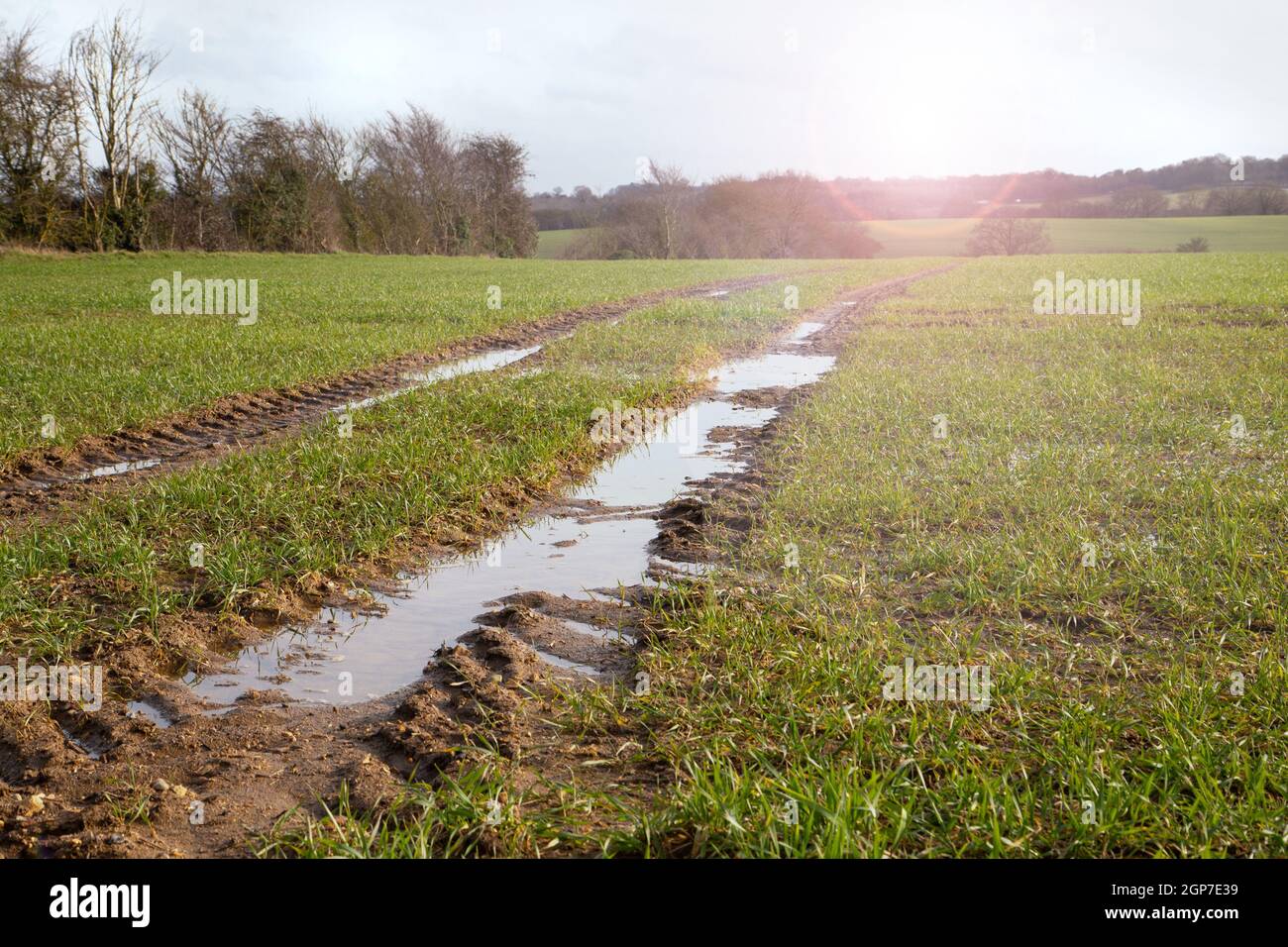 Schlammig nass gefeilt, Landstraße, schmutzige Straße mit Wasser nach starkem Regen, Frühling. Hochwasser in Feldern während sonnigen Tag. Globale Hochwassergefahr und Stockfoto