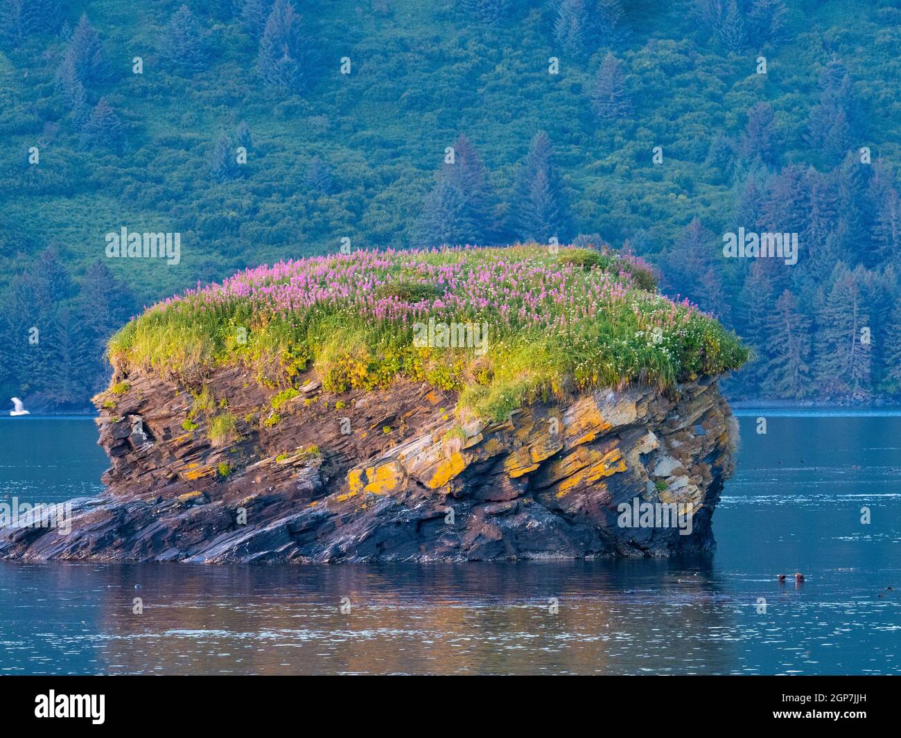 Kodiak, Alaska. Stockfoto