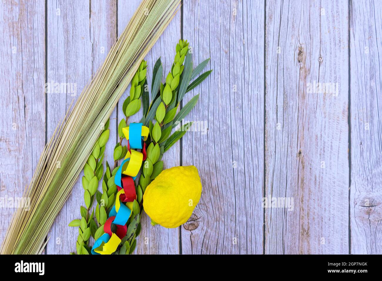 Die Dekorationen für Sukkot auf der frischen Zitrone, etrog den jüdischen Feiertag Stockfoto