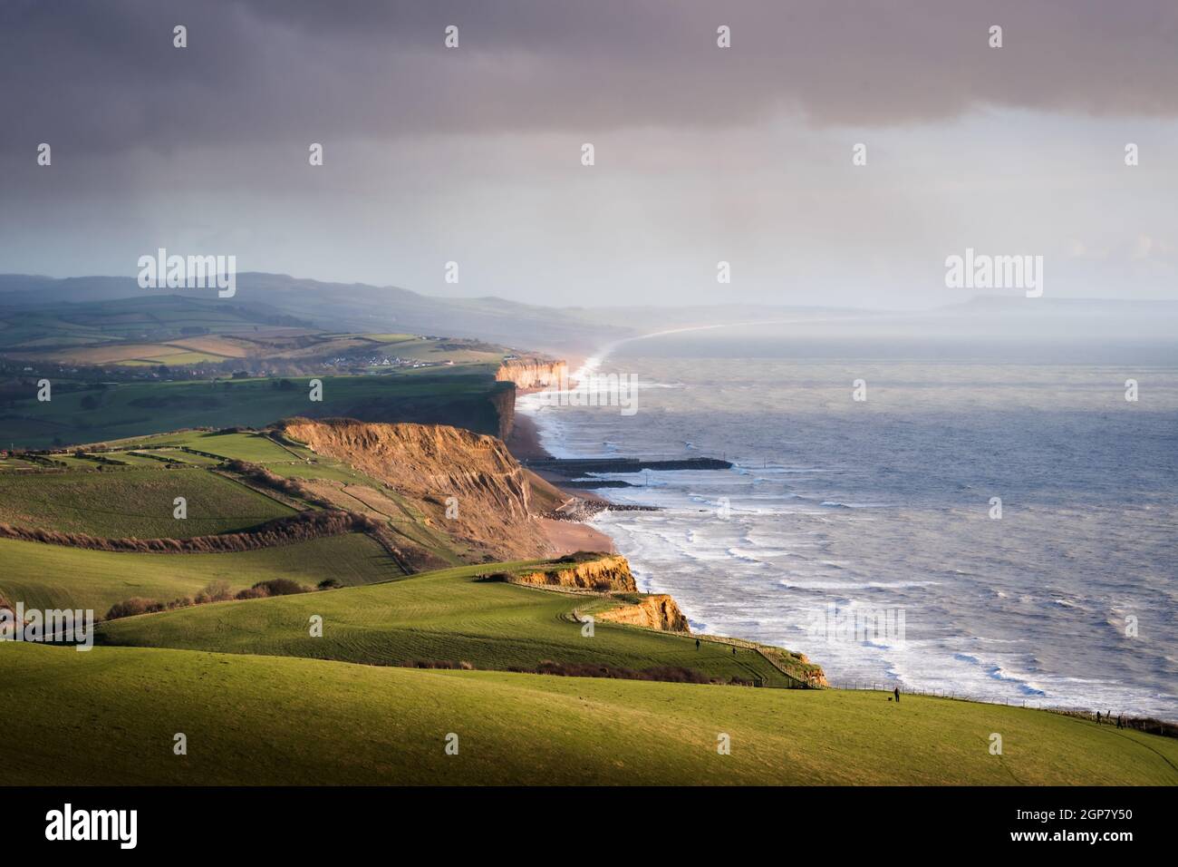 Die Klippen der Dorset Küste Stockfoto