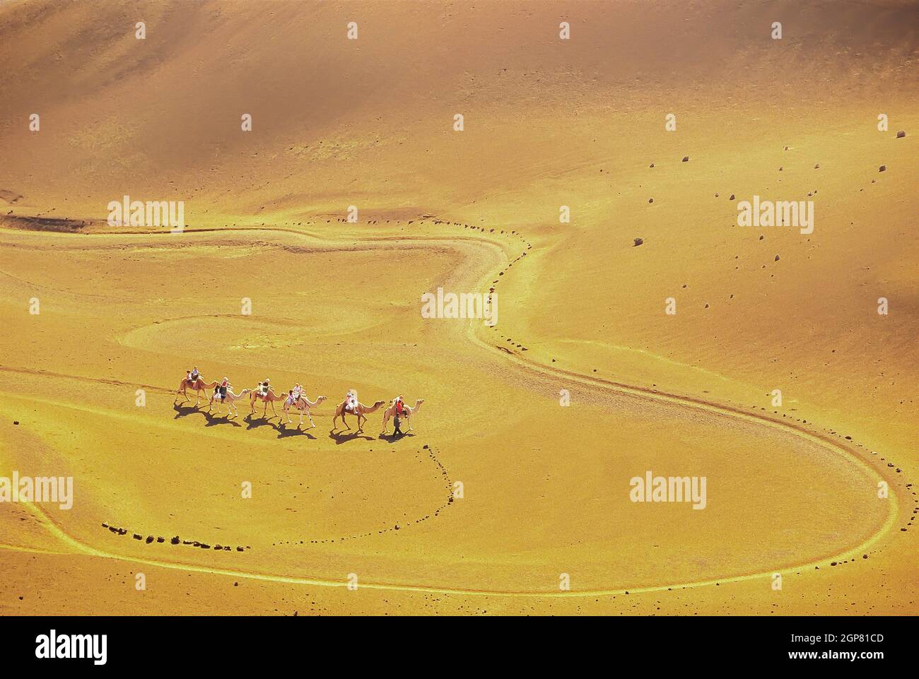 Touristen reiten Kamele, Timanfaya Nationalpark, Lanzarote, Kanarische Inseln, Spanien Stockfoto