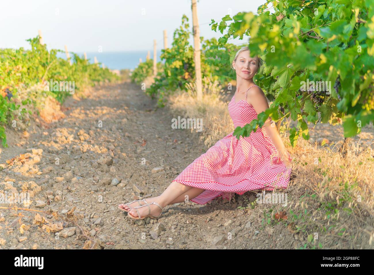 Mädchen in Weinberg und Berge Himmel Erde Weingut Rebe, Traubenfeld Weinrebe, Sonnenaufgang weiblich. Saison reif, kaukasisch Stockfoto