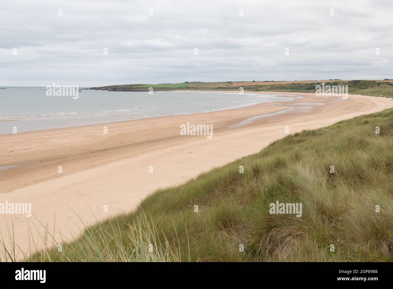 Blick auf den Strand von Cruden Bay an der Ostküste von Aberdeenshire. Langer goldener Sandstrand. Weichfokus. Stockfoto
