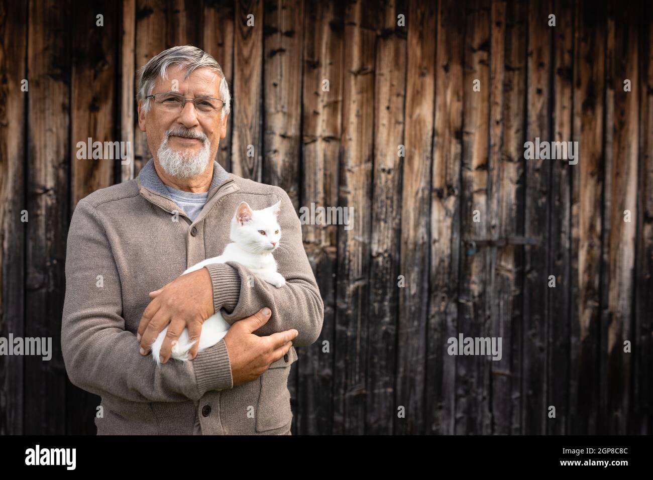 Ein älterer Mann hält eine niedliche kleine weisse Katze und lächelt in die Kamera, selektiver Fokus, viel Platz kopieren Stockfoto