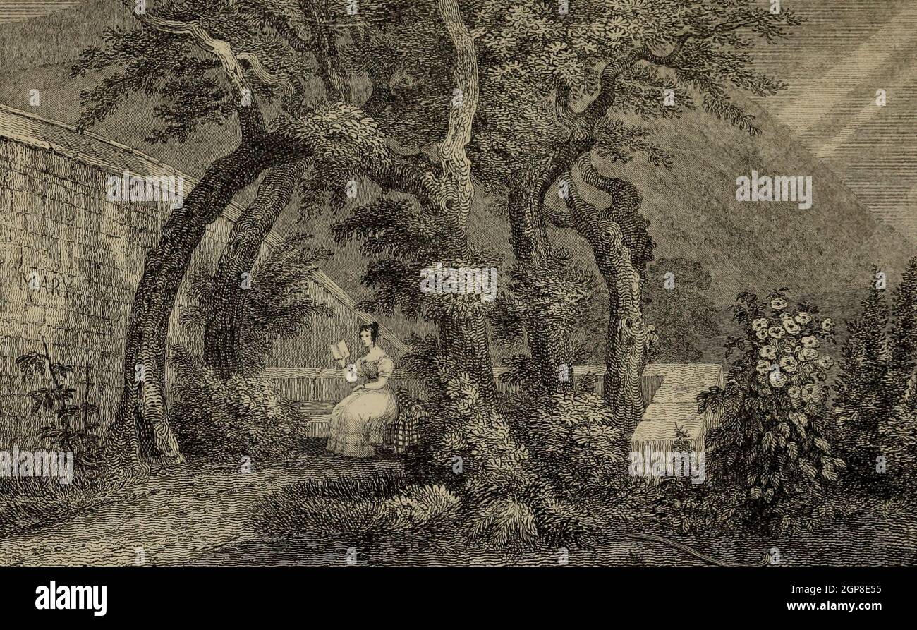 Laube im Moray House Garden oder Queen Mary's Bower Stockfoto