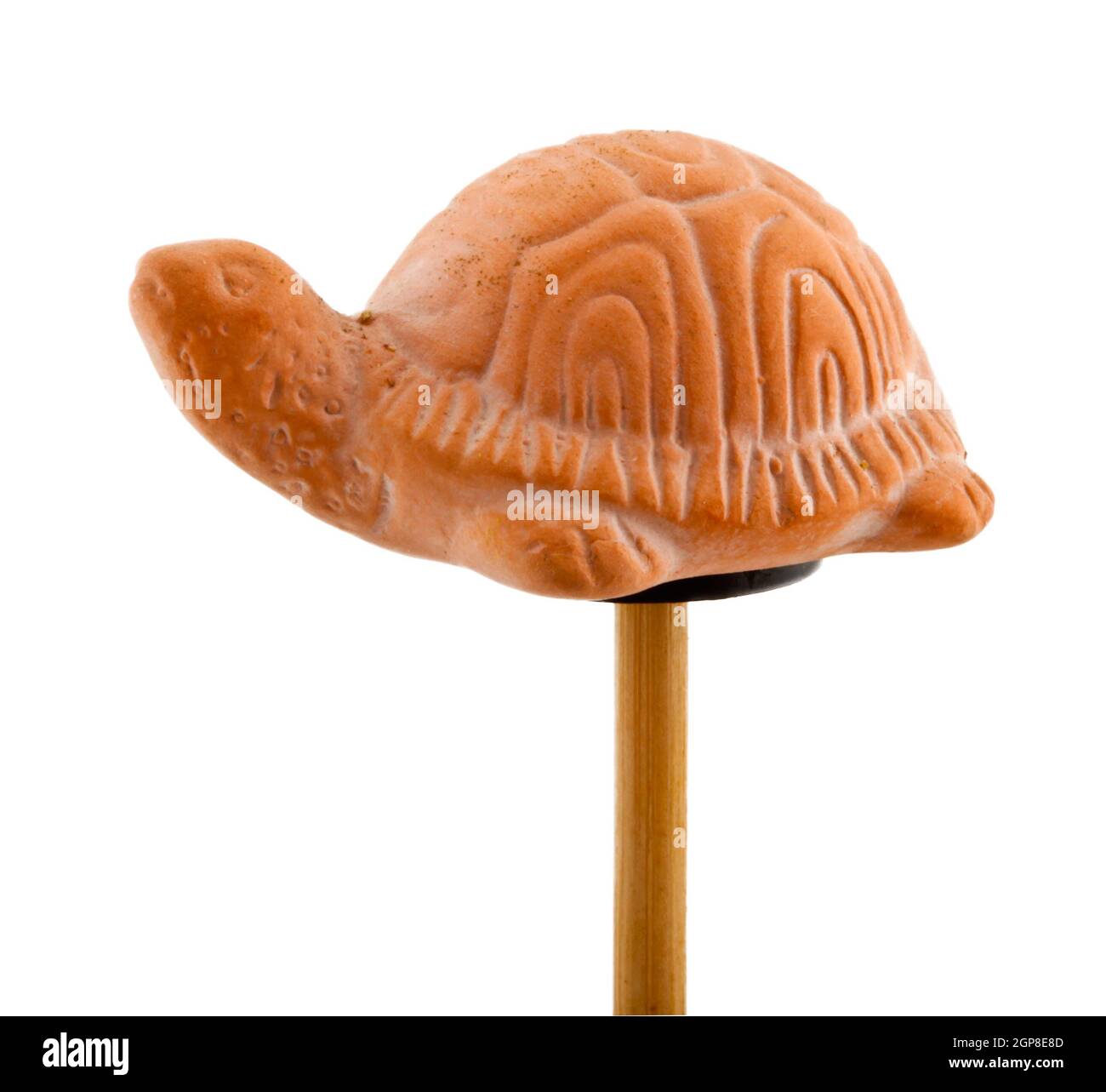 Isolierte Schildkröte im Ton auf Holzstab Stockfoto