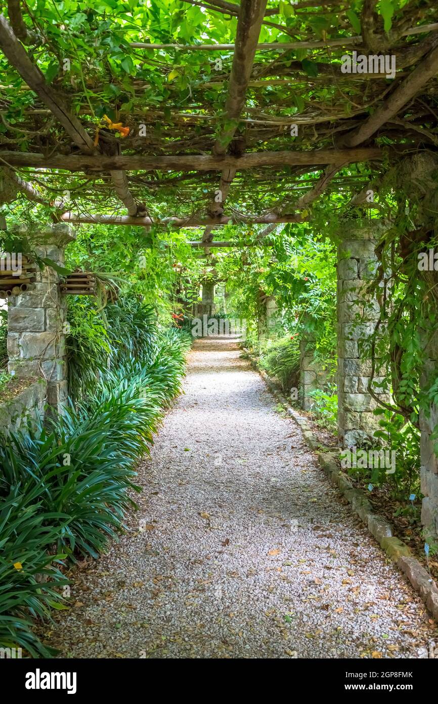 Garten mit Pergola Struktur mit hellen Farben während der Spätsommersaison. Diese Architektur und das Design wurden von der Natur inspiriert. Stockfoto