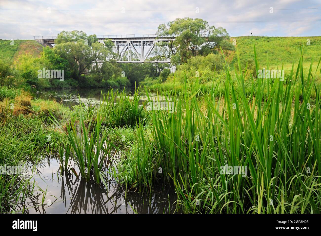 Eisenbahnbrücke mit Lokomotive und grünem Gras am Fluss Vordergrund horizontal Stockfoto