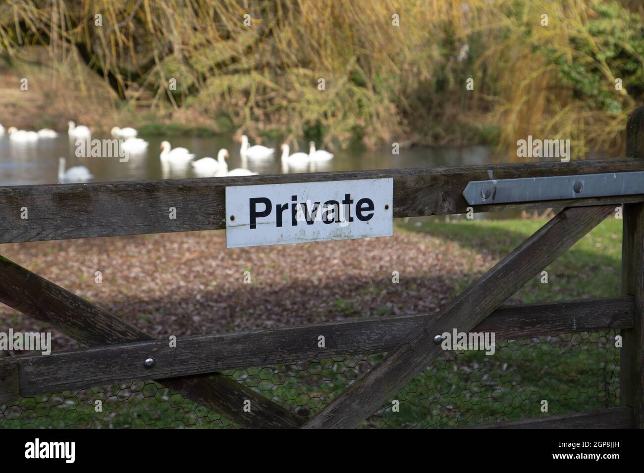 Privates Zeichen auf Bauernhof Holztor. Führt zu Frühlingswiese, Feld, Schwanensee. Großbritannien, Suffolk Stockfoto