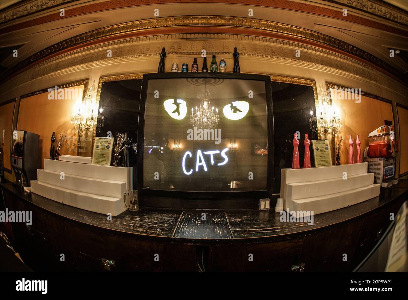 Katzen Theater des Bildes. Drehort: New York, Manhattan Stockfoto