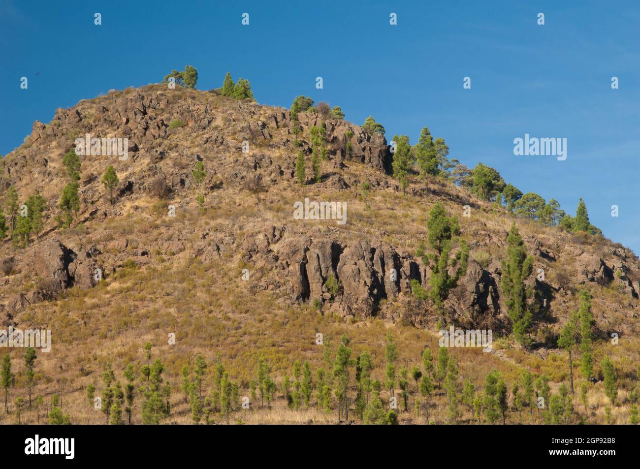 Hügel im Nublo Rural Park. Aldea de San Nicolas de Tolentino. Gran Canaria. Kanarische Inseln. Spanien. Stockfoto