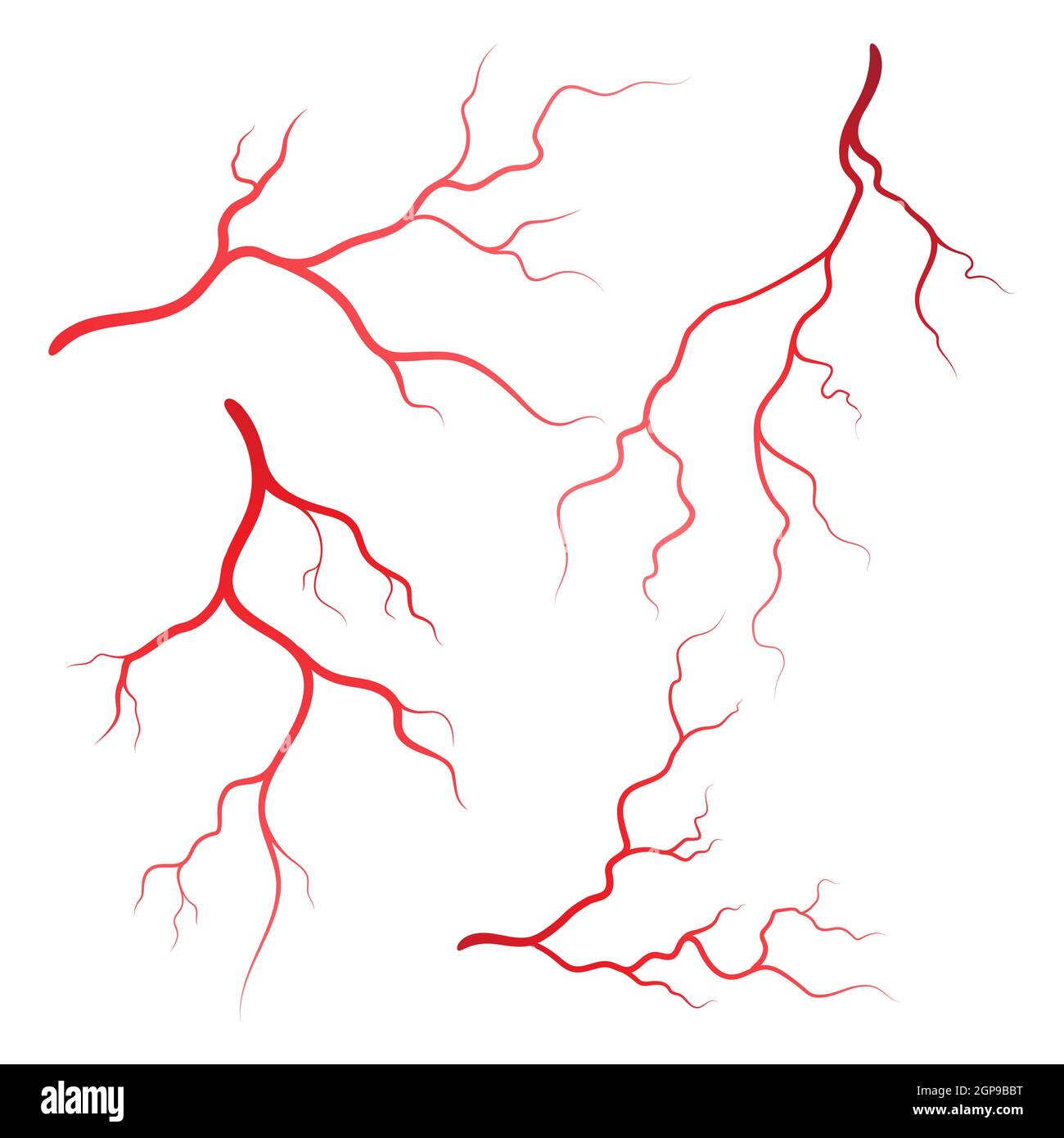 Die Venen und Arterien illustration Design Template Stockfoto
