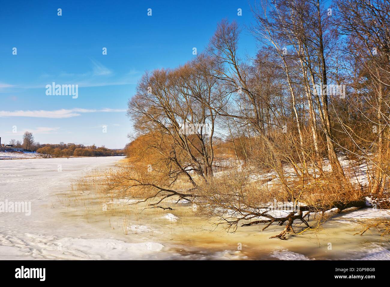 Früher Frühling Mit Schmelzendem Eis Und Schnee. Natur im März. See und Wald ländliche Szene. Weißrussland Fluss Wjatscha Stockfoto