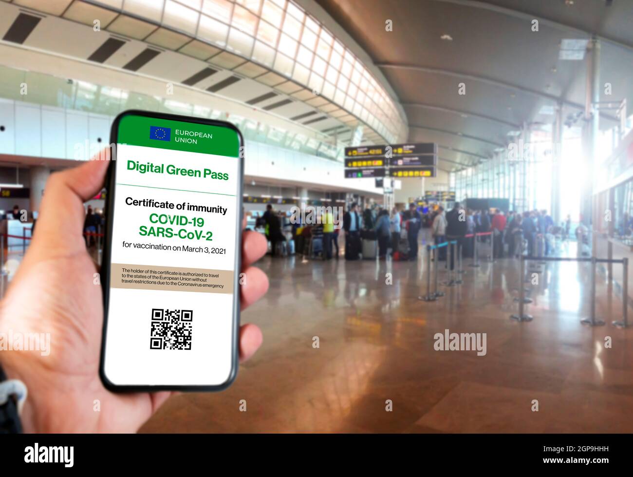 Der digitale grüne Pass der europäischen Union mit dem QR-Code auf dem Bildschirm eines Handys an einer Hand gehalten mit verschwommenem Flughafen im Hintergrund. Immunit Stockfoto