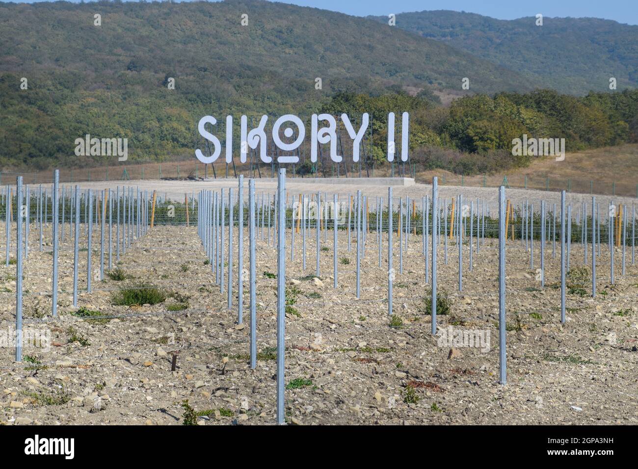 Noworossijsk, Russland - 30. September 2017: Sikory 2 Weinberge in den Hügeln der Sikory Weingut 2. Stockfoto