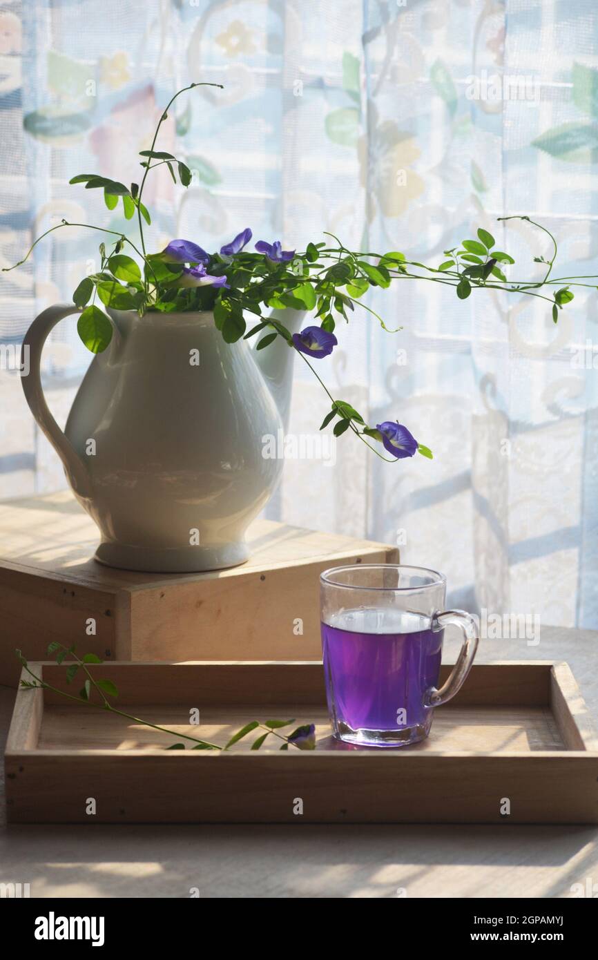 Schmetterlingserbsentee Fotografie. Es ist jetzt beliebt. Stockfoto