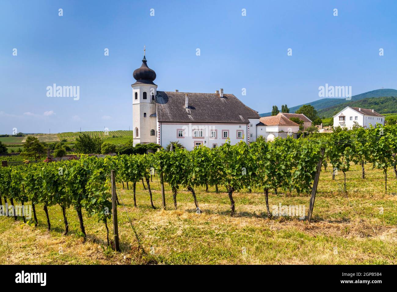 Klosterweingut Thallern bei Gumpoldkirchen, Oberösterreich Stockfoto