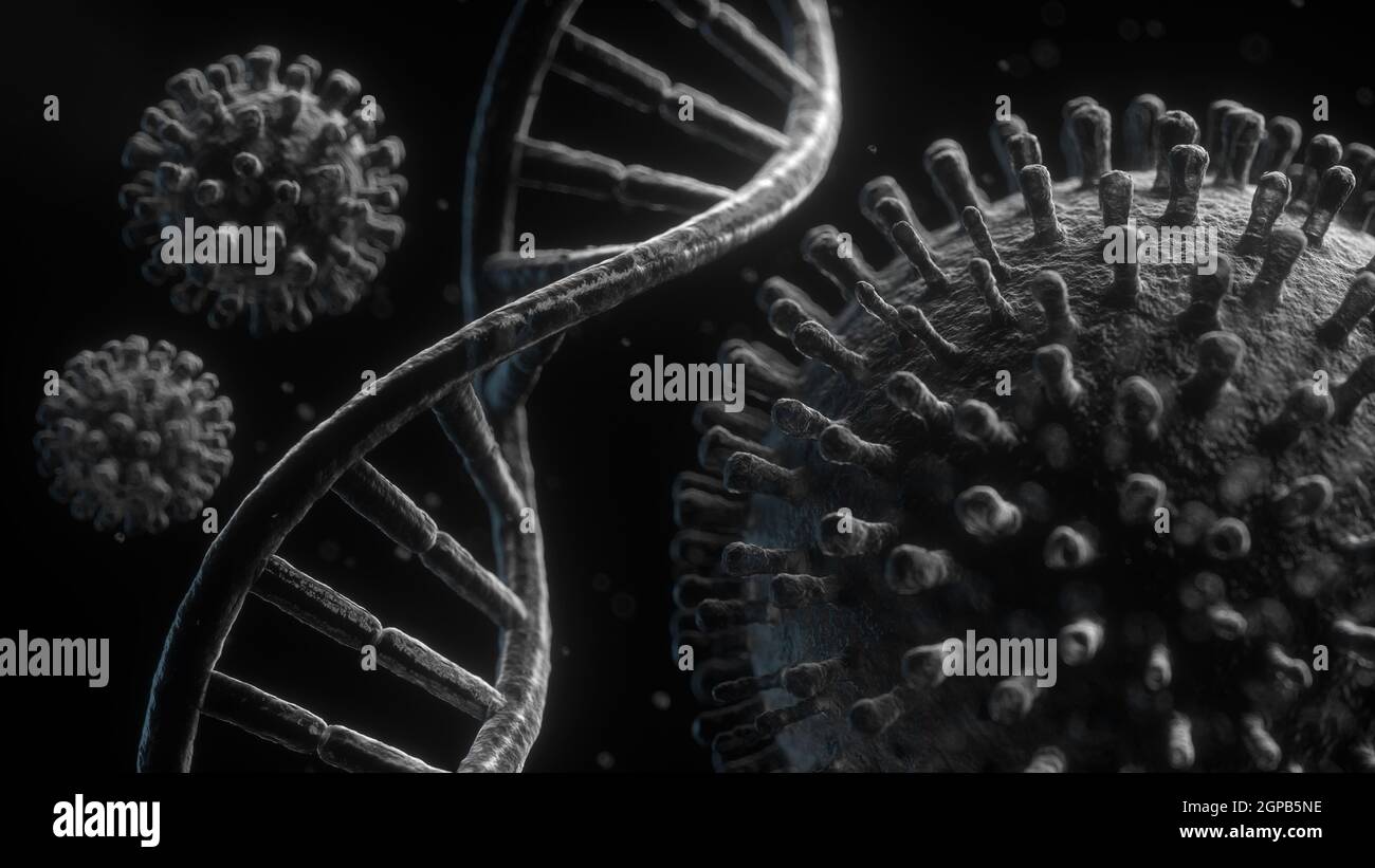 Schwarz-Weiß 3d Illustration Nahaufnahme des Corona Virus mit DNA-Strängen auf schwarzem Hintergrund Konzept für Stammmutation Stockfoto