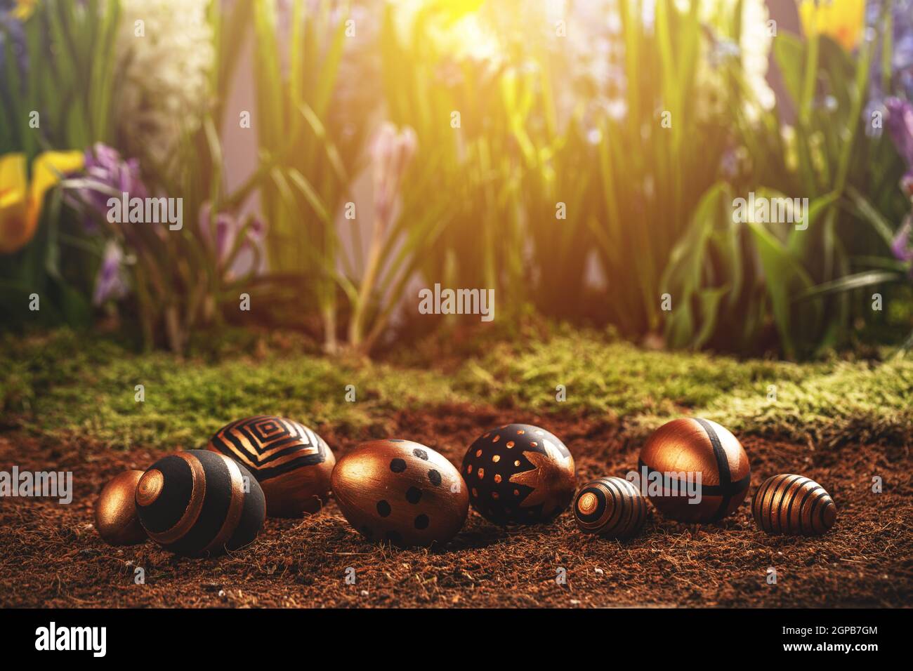 Ostereier in Gold und Schwarz mit geometrischem Muster, Frühlingsblumen auf dem Hintergrund Stockfoto