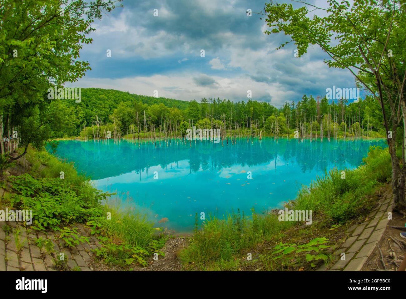 Blauer Teich, der wie ein Wald aussieht (Hokkaido BieiCho). Drehort