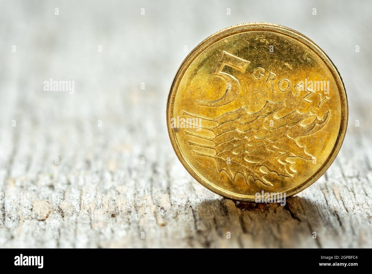 Fünf Polnischen groszy Münze auf Holz- Hintergrund. Nahaufnahme. Stockfoto