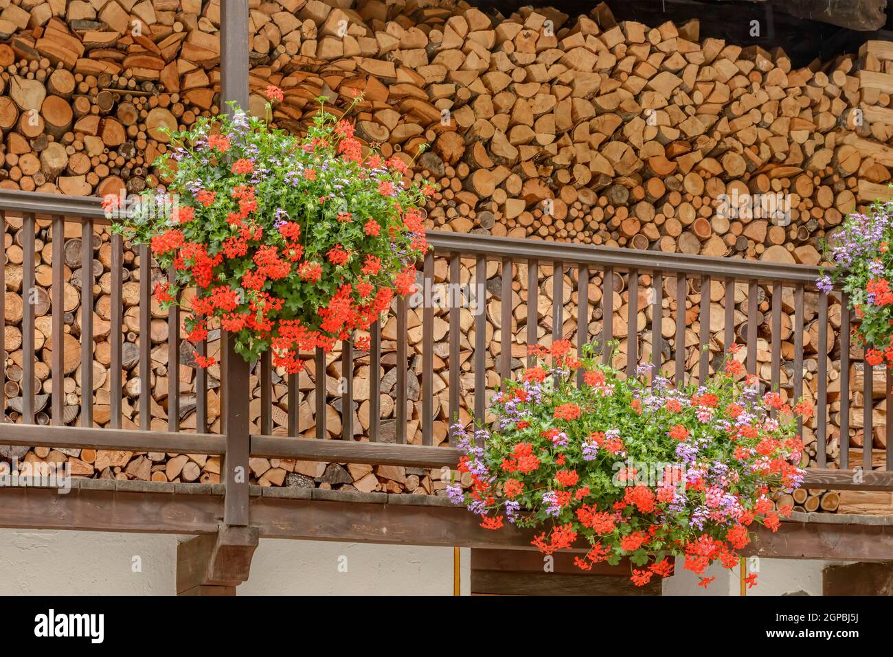 Holzschuppen auf hölzernen Balkon der traditionellen Haus mit blühenden Blumen, Schuß an einem hellen Sommertag in Gressoney Saint Jean, Lys v abgedeckt Stockfoto