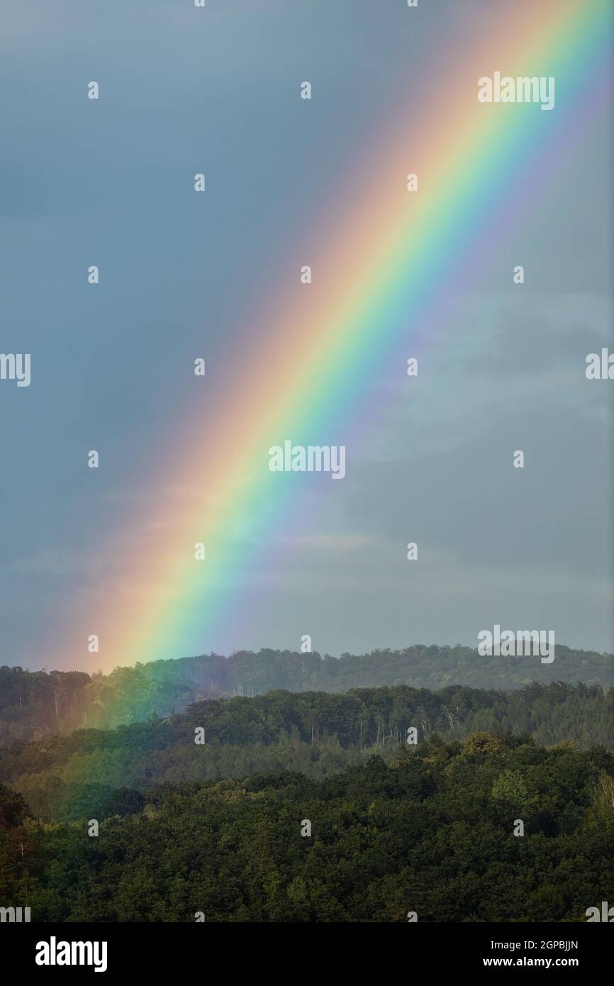 Regen fällt vom Himmel, bringt die sehr benötigte Feuchtigkeit in die Natur Stockfoto