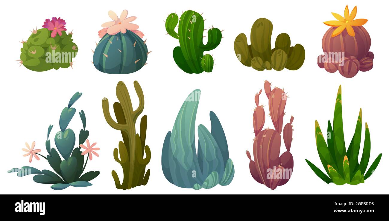 Kaktuset, Wüstenkakteen blühen Stetsonia, Carnegia, Selenicereus und rhipsalidopsis mit saguaro oder opuntia. Cartoon blühende Sukkulenten mit grünen stacheligen Blättern und Blüten Vektor-Illustration Stock Vektor