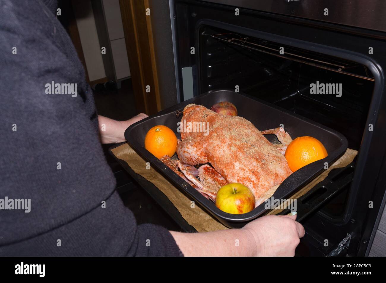 Braten Sie Gans gefüllt mit gebackenen Äpfeln und Orangen in einer Pfanne, die in einem Ofen geschoben wird, festliche Weihnachtsrezept. Draufsicht mit Kopierbereich. Stockfoto
