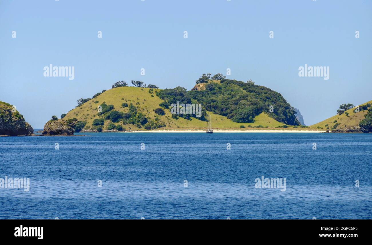 Sonnige Landschaft an der Bay of Islands, einem Gebiet an der Ostküste des Far North District der Nordinsel Neuseelands Stockfoto