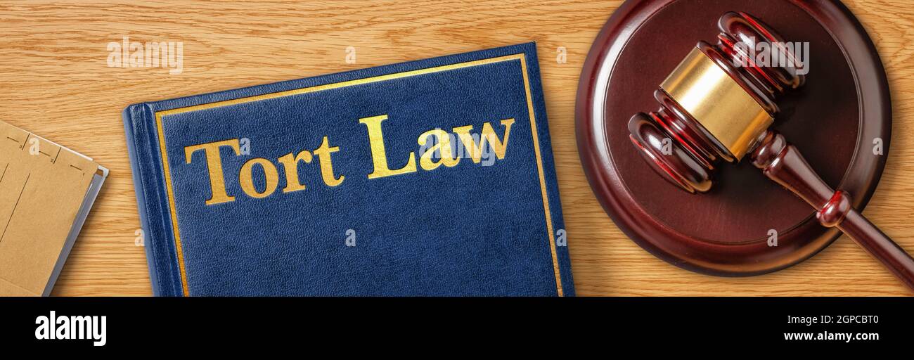 Ein Gavel mit einem Gesetzbuch - Tort Law Stockfoto