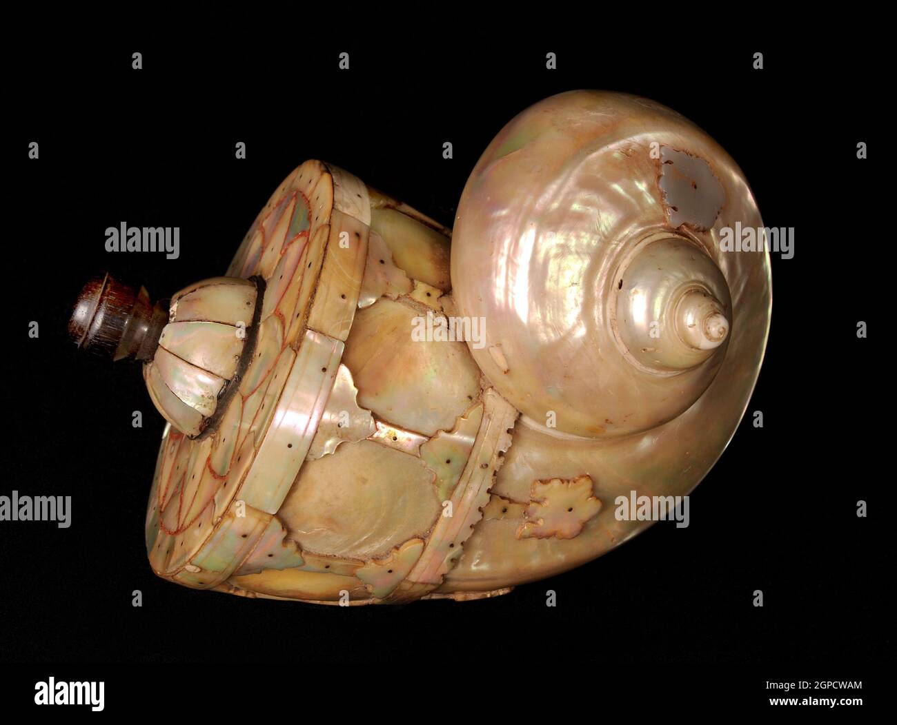 Sea Shell Powder Flask Ende des 19. Jahrhunderts -Perlmutt-Inlays Stockfoto