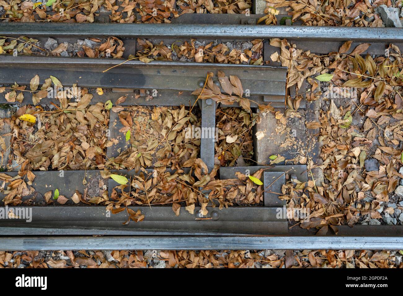 600 mm große Eisenbahnstrecke in der Nähe einer Kreuzung, mit Herbstlaub. Ein Blick von oben. Freilichtmuseum des Kalksteinbergbaus „Barbora“ im tschechischen Karst. Stockfoto
