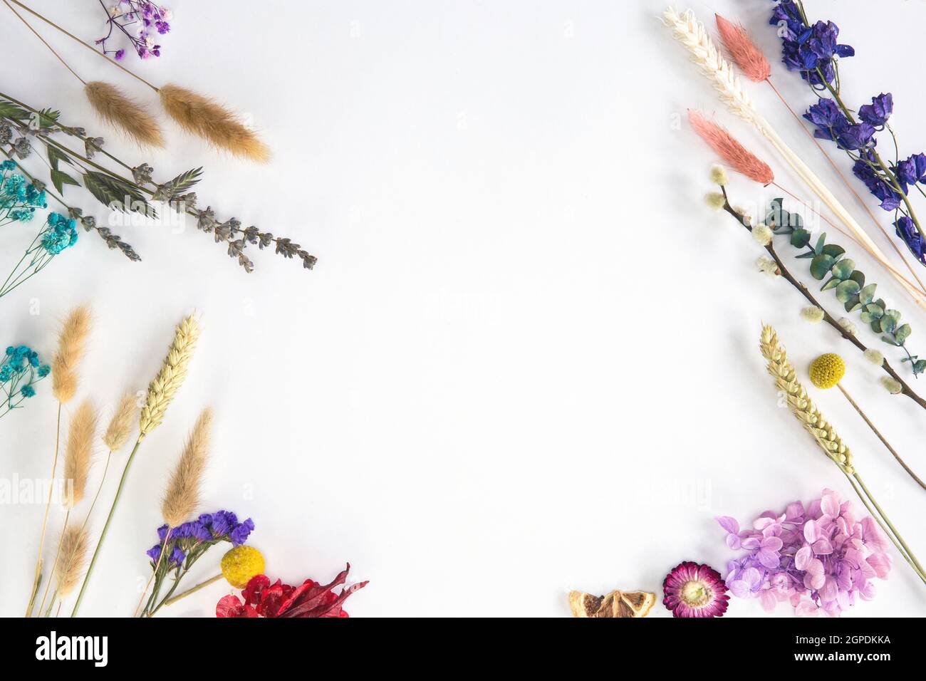 Frische Bucht Frühling getrocknete Blume Rahmen isoliert auf weißem Hintergrund mit Kopieplatz, romantische, Sommer modernes Konzept, flache Lage, Overhead-Ansicht Platz für Stockfoto