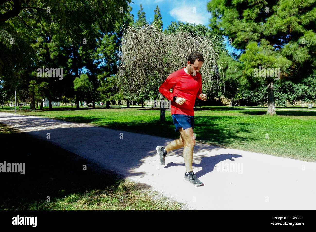 Aktiver Mann Running Park, gesunder Lebensstil Stockfoto