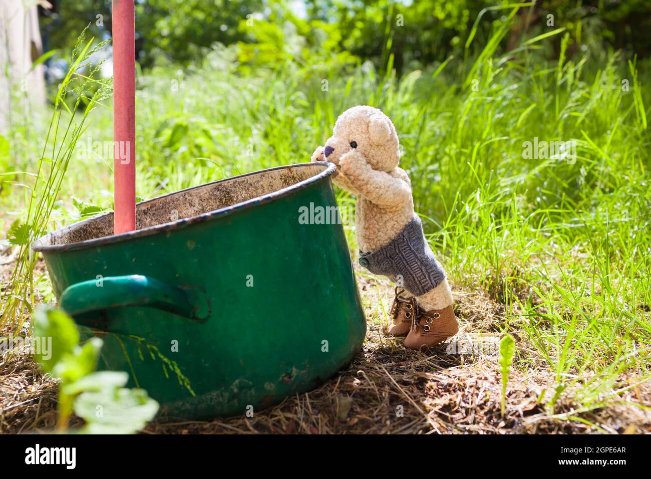 Neugierige kleine Teddybär stehen auf Zehenspitzen, um in einen alten schmutzigen Kochtopf zu schauen, der als Regenwassertank im Garten im Hinterhof verwendet wird Stockfoto
