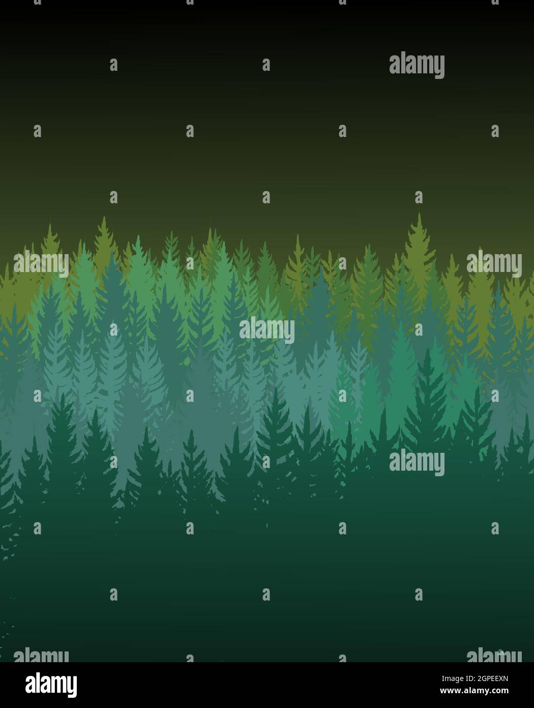 Waldhintergrund. Silhouette Panorama. Landschaft mit Bäumen. Nadelbäume. Wunderschöne dunkle Aussicht. Nachtaufnahme. Illustrationsvektor. Stock Vektor