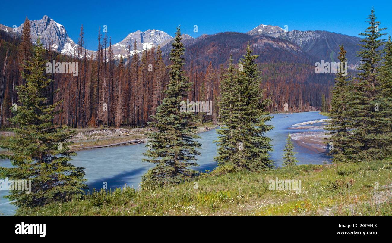 Kootenay River im Kootenay National Park, British Columbia im Westen Kanadas. Stockfoto