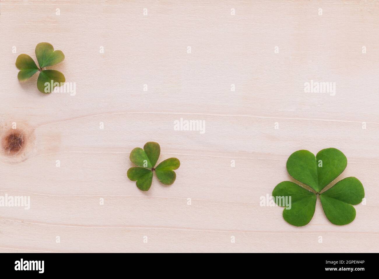 Closeup Kleeblätter Blätter auf hölzernen Hintergrund eingerichtet. Stockfoto