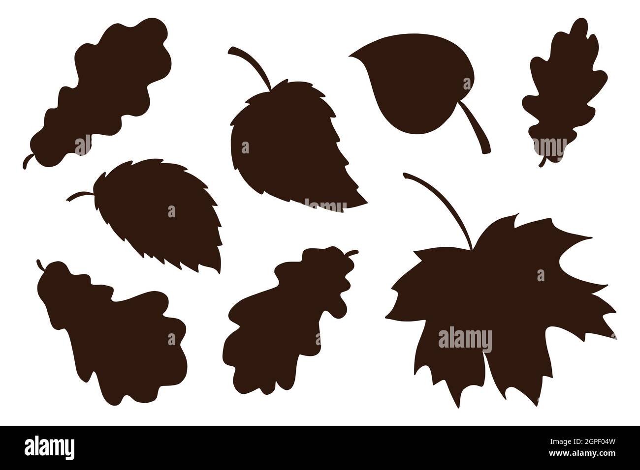 Handgezeichnete Blätter – Kollektion „Schatten“. Forest Laub
