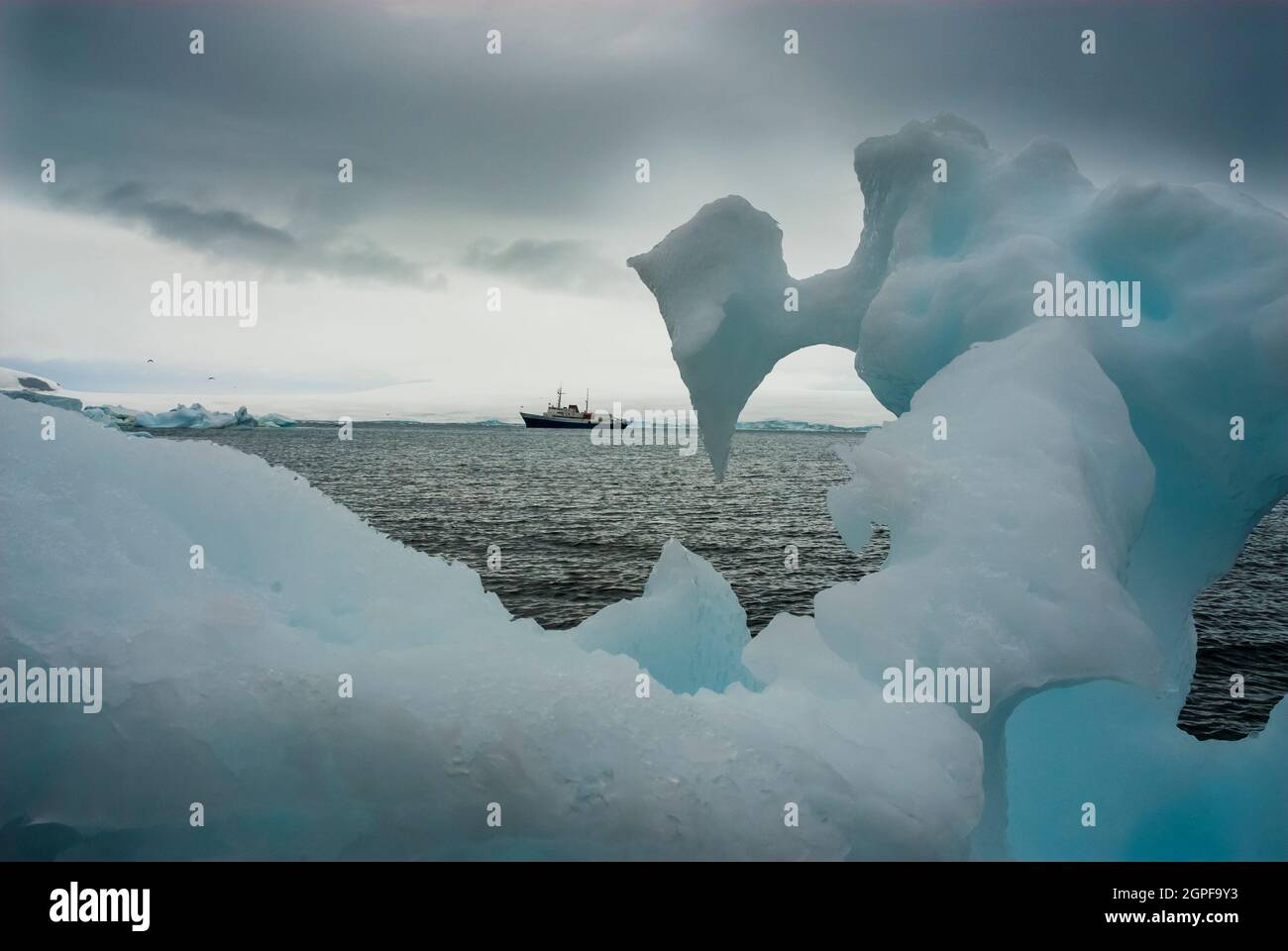 Paulet Insellandschaft, Blick vom Meer mit Eisbergen, Kreuzfahrt und Pinguine, Antarktis Stockfoto