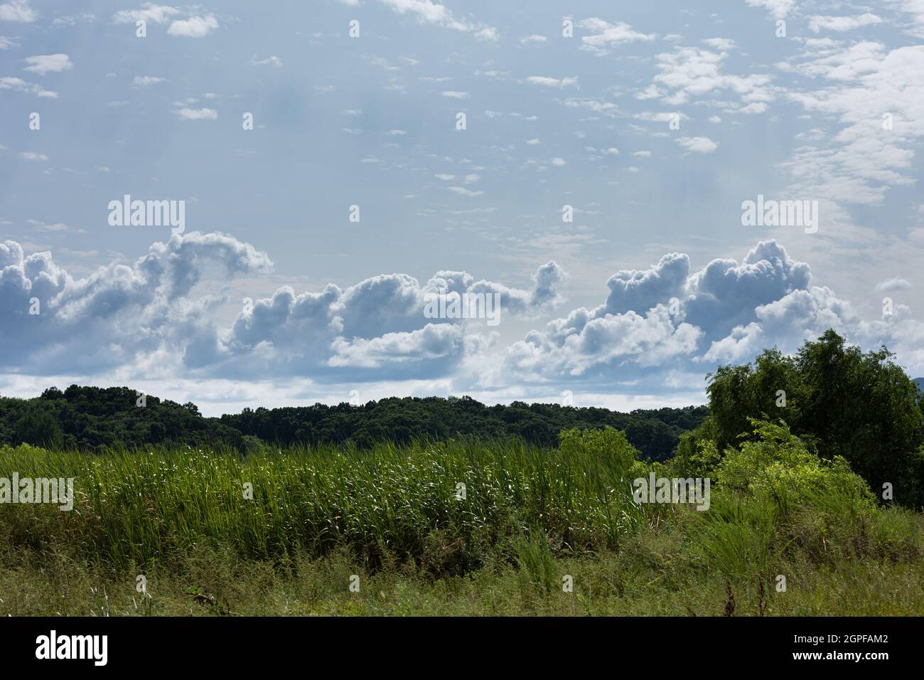 Landschaft von schönen blauen Himmel mit weißen Wolken, Namhangang Flussufer Korea Stockfoto