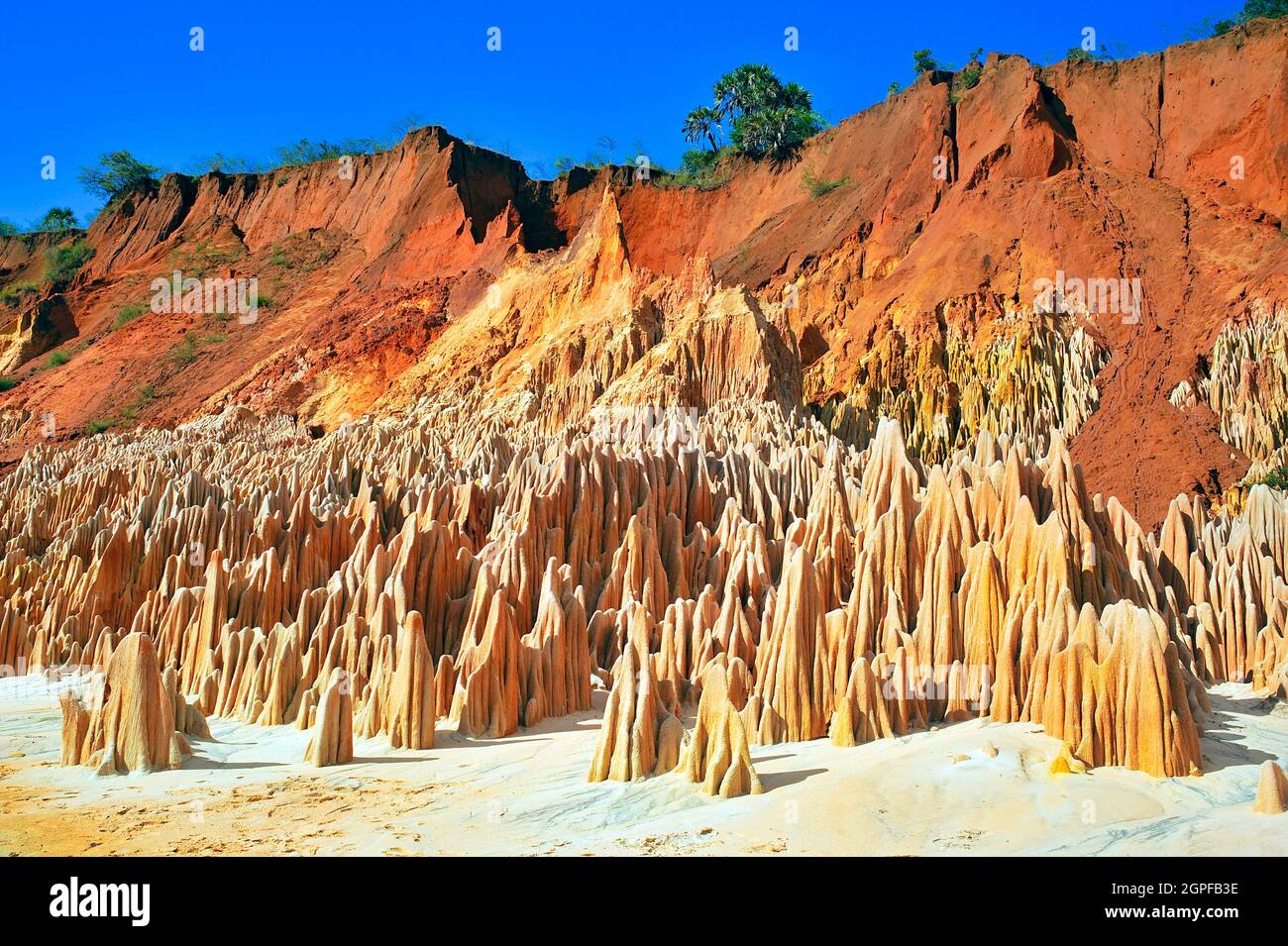 MADAGASKAR, DIEGO SUAREZ, SELTSAME LANDSCHAFT, DIE ROTE TSINGY IN DER NÄHE DER STADT DIEGO SUAREZ Stockfoto