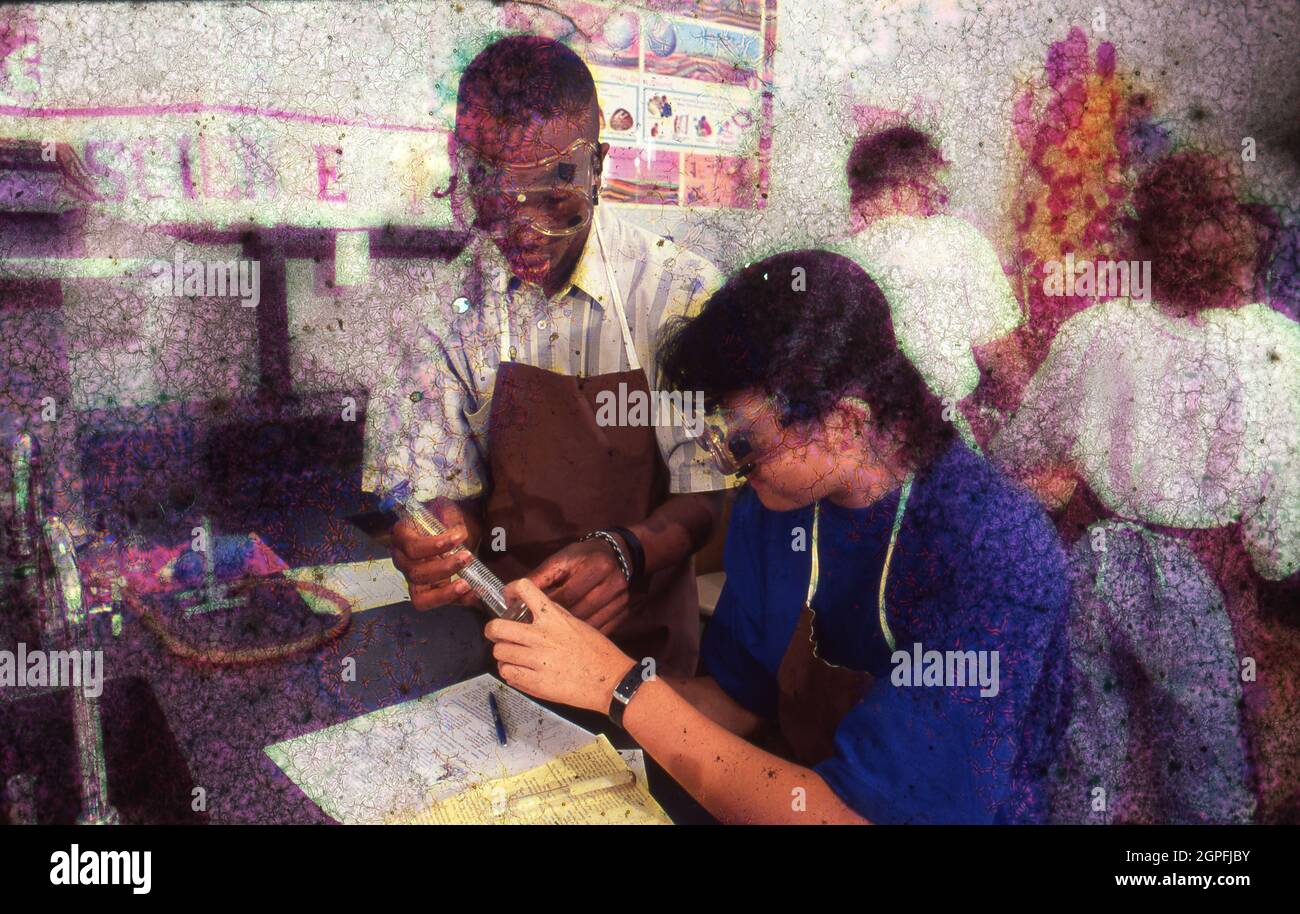 Austin Texas USA, um 1993: Laborpartner im Biologieunterricht der High School, die Experimente an der Travis High School durchführen. ©Bob Daemmrich Stockfoto