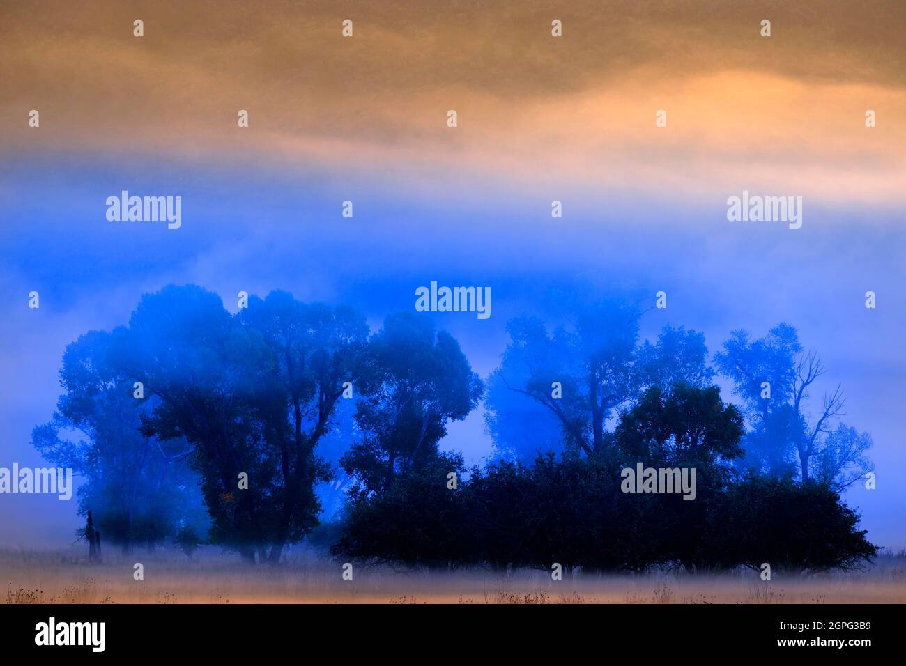 Landschaftlich schöner Blick auf die neblige Talwiese mit Bäumen und Morgensonne Stockfoto