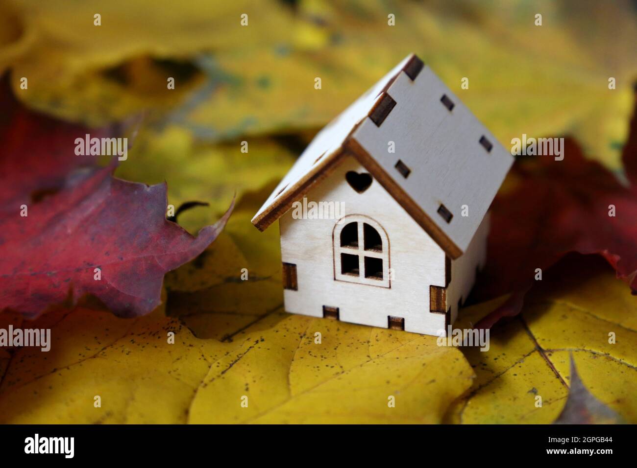Holzhaus Modell auf Ahornblätter Hintergrund. Konzept von Landhaus, Wohnungssuche im Herbst, Immobilien in ökologisch sauberer Umgebung Stockfoto