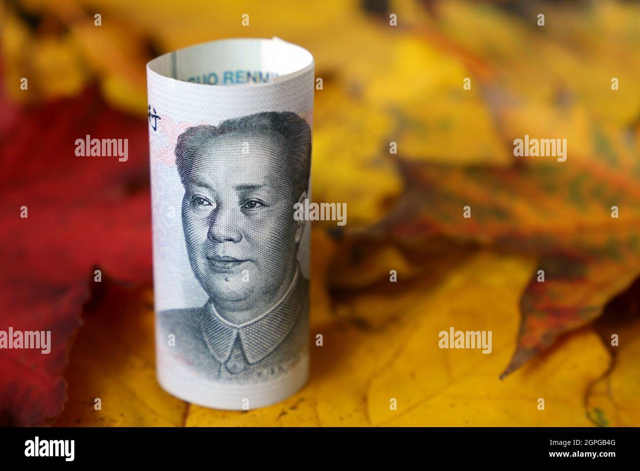 Chinesische Yuan-Banknote auf Ahornblättern. Konzept der Wirtschaft von China im Herbst, Tourismus und Investitionen Stockfoto
