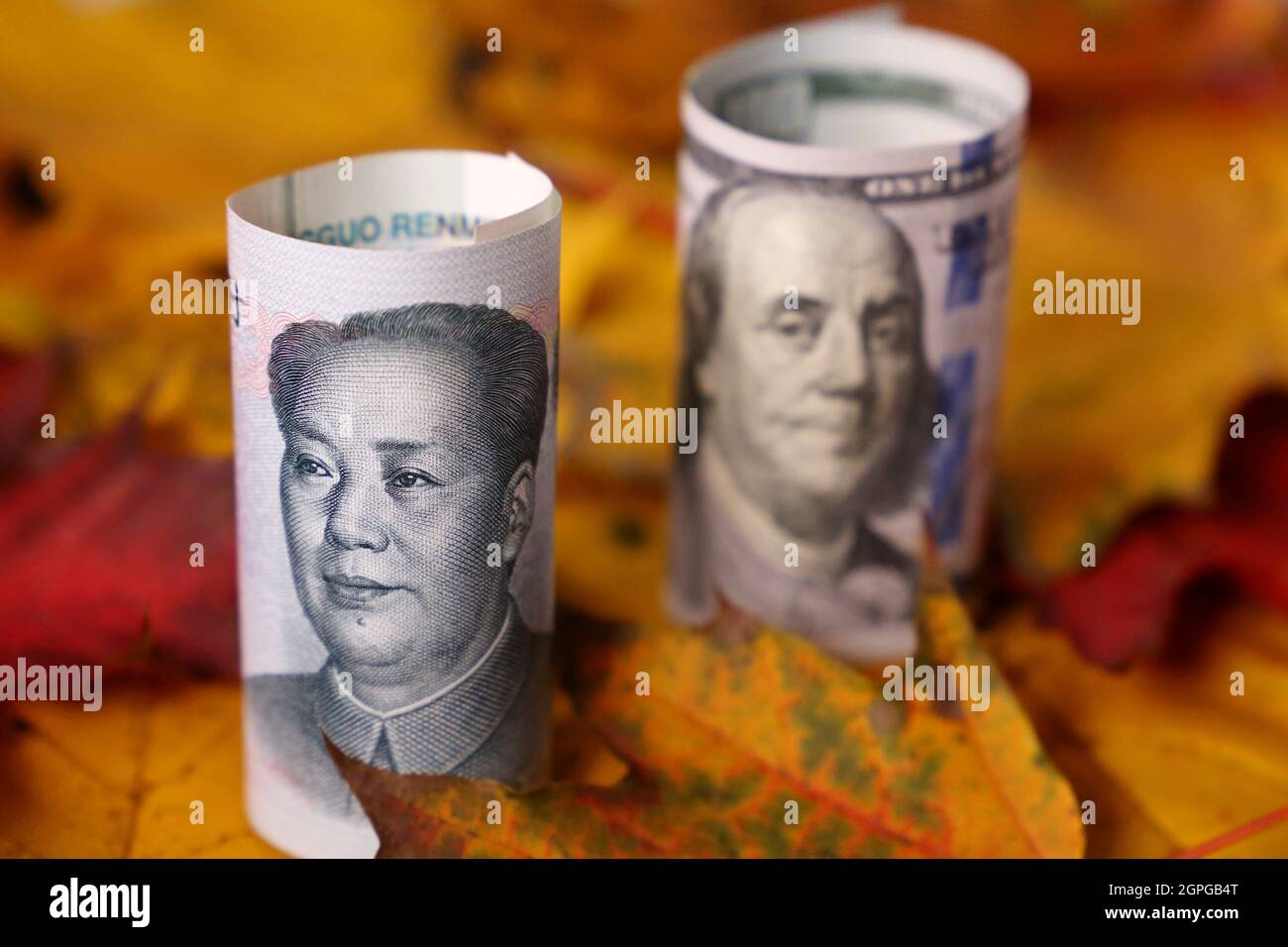 US-Dollar- und chinesische Yuan-Banknoten auf Ahornblättern. Konzept der Wirtschaft im Herbst, Handelskrieg zwischen China und den USA, Sanktionen, Tourismus Stockfoto
