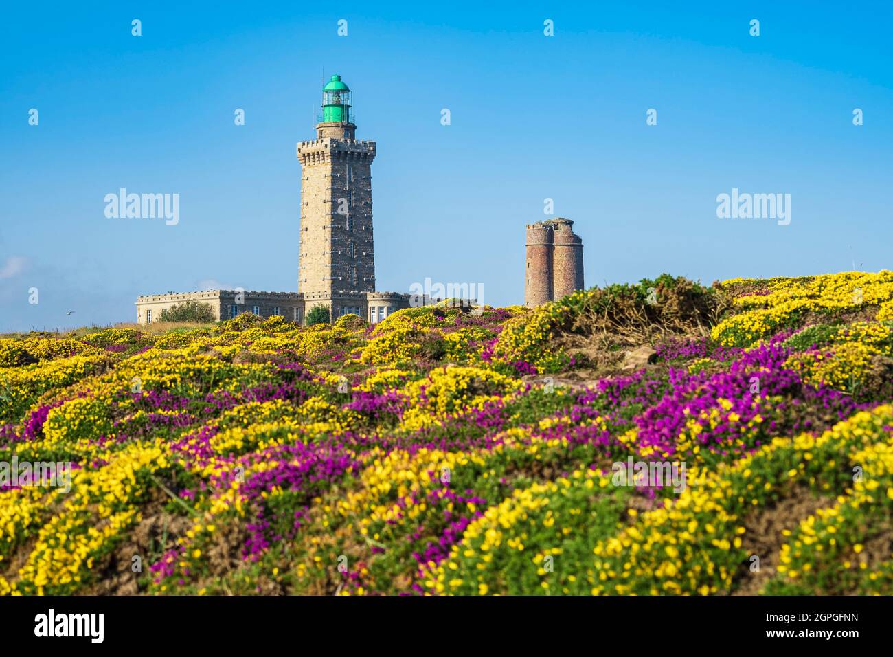 Frankreich, Cotes d'Armor, Plegenon, Grand Site de France Cap d'Erquy - Cap Frehel, Leuchtturm Cap Frehel (1950) und Leuchtturm Vauban (1702) entlang des Wanderweges GR 34 oder Zollweges Stockfoto